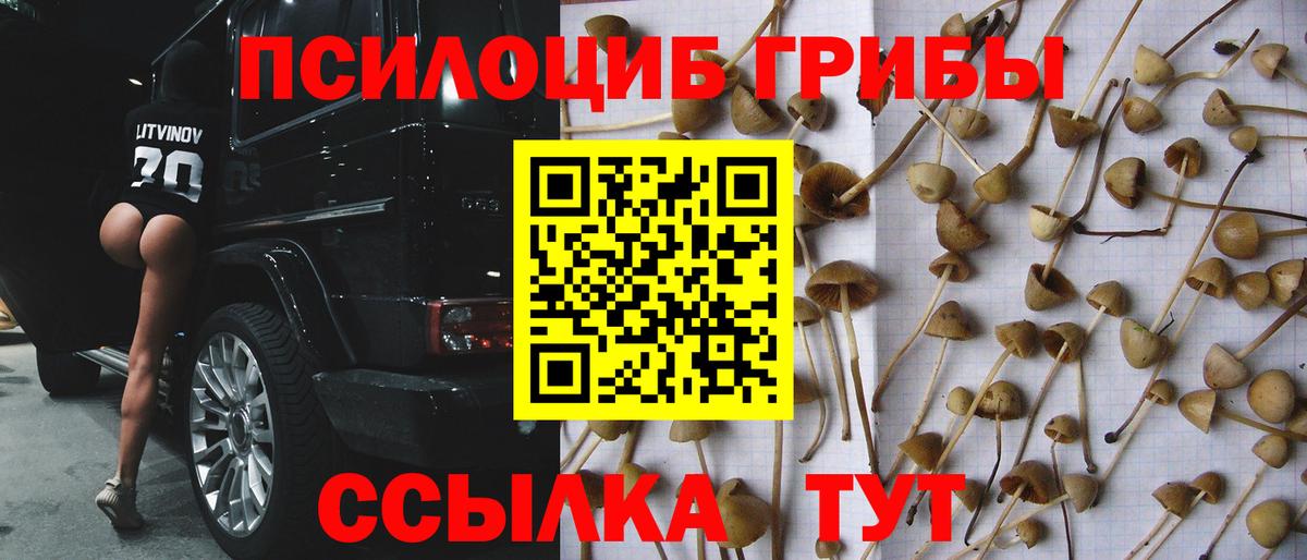 Галлюциногенные грибы GOLDEN TEACHER  Вход с VPN  Фролово 
